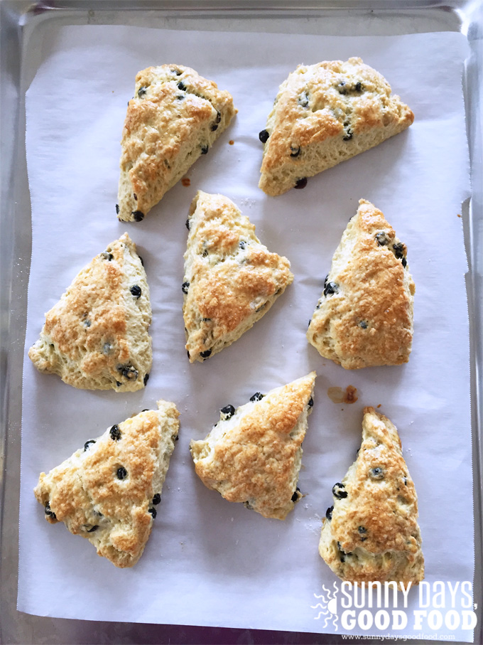 Irish Blueberry Scones